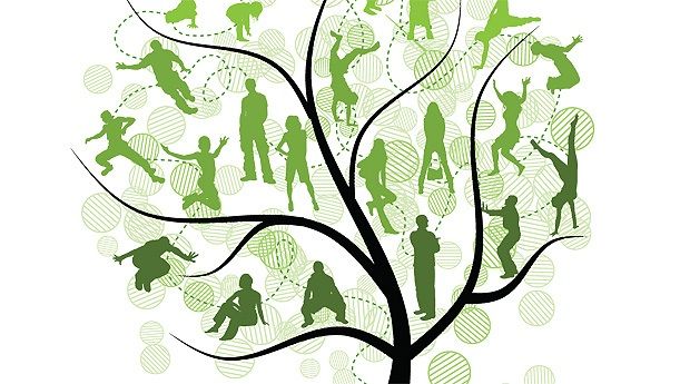 family tree