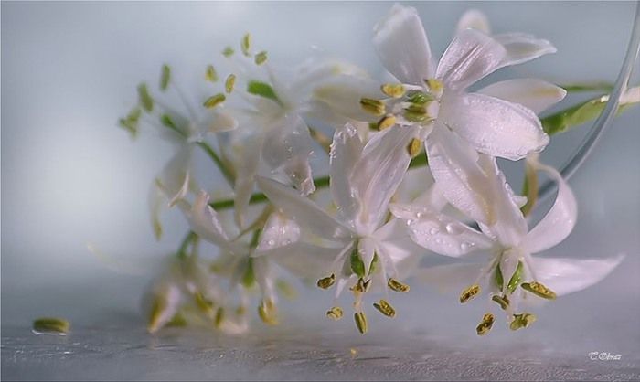 (700x418, 52Kb)