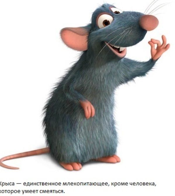 ATT00103 (599x671, 65Kb)