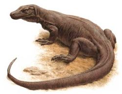 varan.jpg