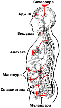 Чакры. Общее.