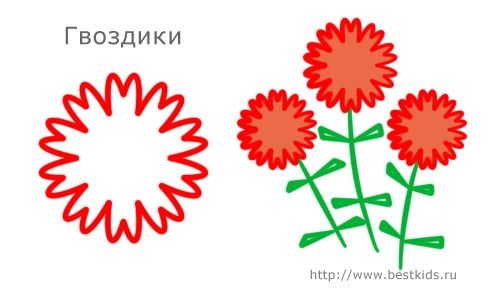 Гвоздики