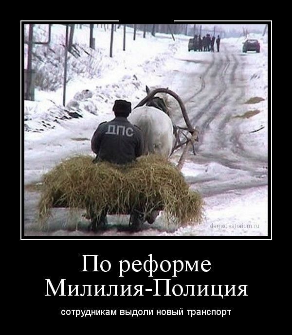 Демотиваторы (30 фото)