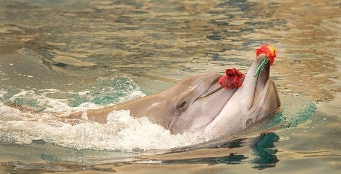 Коллекция эмоциональных снимков. Часть 23 (50 фото)