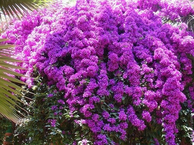 8 (640x480, 188Kb)