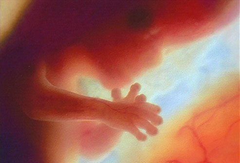 Развитие плода по месяцам : Развитие эмбриона на 16 неделе. 
 
На этом этапе беременности плод достигает размеров от 10, 75 до 11,5 см, а весит около 80 г. Матка находится приблизительно на 7 см ниже пупка. Сердце и кровеносные сосуды уже полностью сформированы. Ребенок уже умеет мигать. На пальчиках ног и рук появляются ногти.