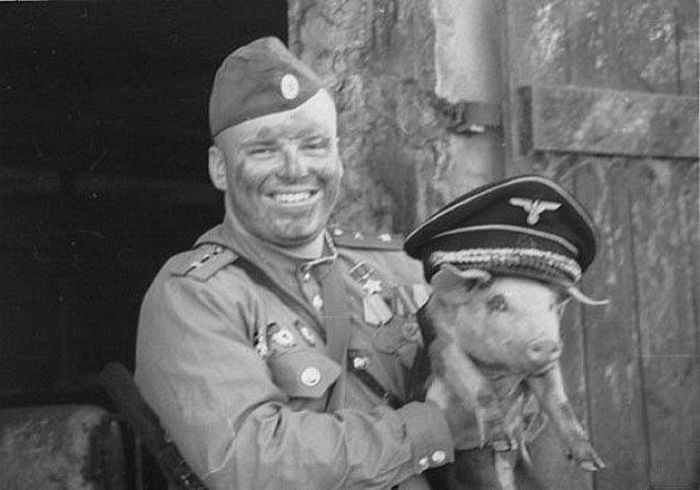 фотографии, вызывающие эмоции, красота,