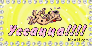 смешная собака