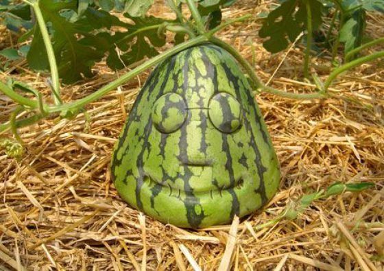 Шокирующая Азия (45 фото)