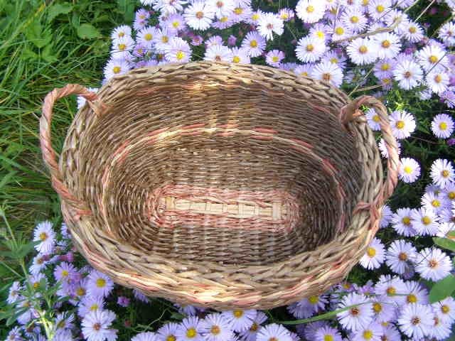 p9250113 (640x480, 64Kb)
