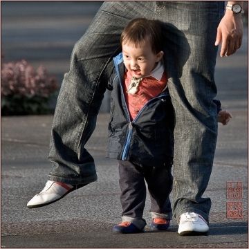 991369-92d295b78231eec4.jpg