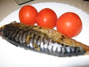 Скумбрия