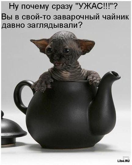 (432x540, 39Kb)