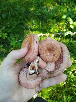 Оторвались) Оторвались)