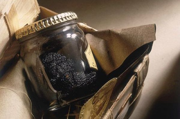 Осетровая икра, черные трюфели, жареные скорпионы: подборка самых дорогих консервов