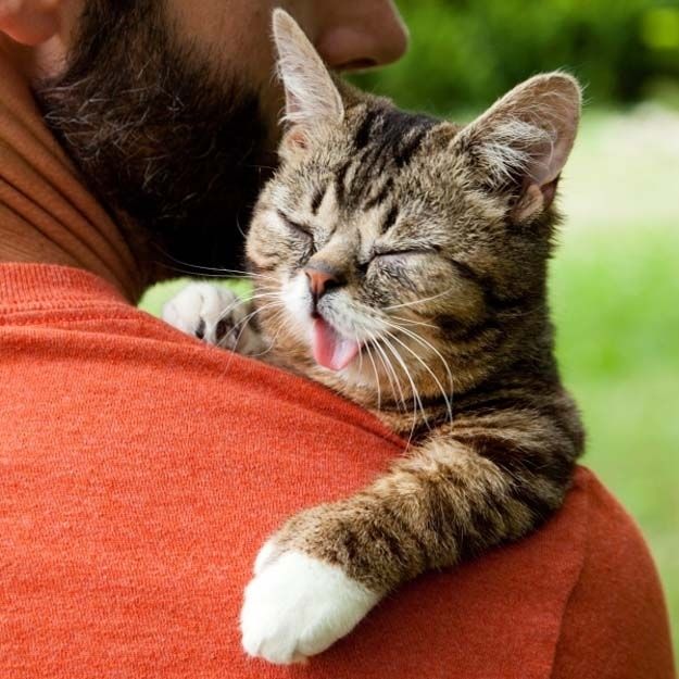 cute 65 Самые мимимишные зверушки из тех, что вы видели