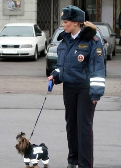 приколы фото девушки