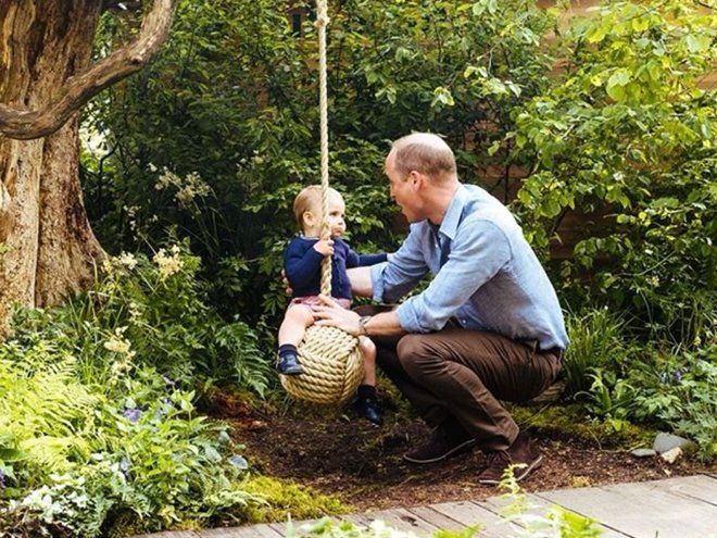 Принц Уильям и принц Луи в новой серии портретов в честь открытия парка Back to nature