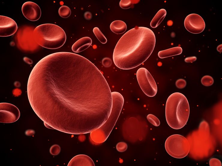 повышены эритроциты в крови у ребенка