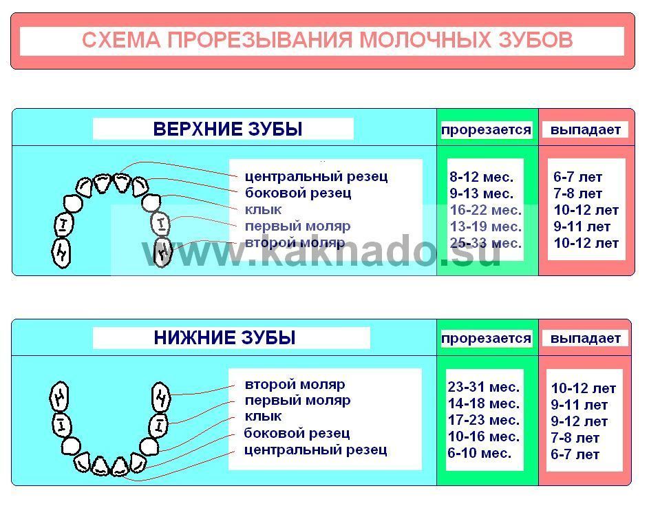 Изменение стула при прорезывании зубов у малышей