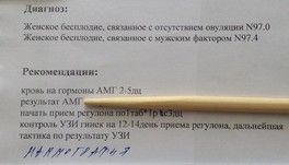 не взяли в протокол эко, очень плохое узи яичников не взяли в протокол эко, очень плохое узи яичников