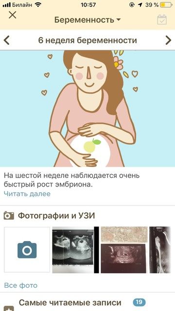 О программе О программе