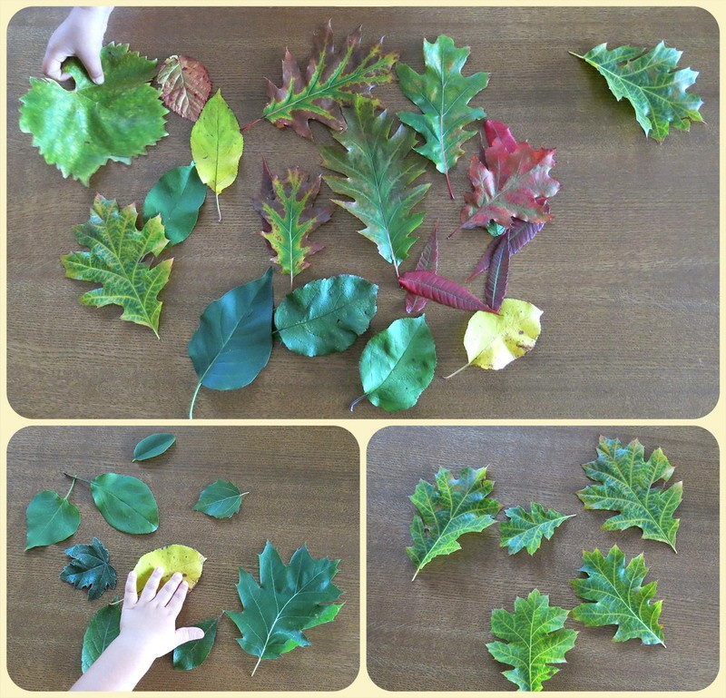 Осенние игры дома