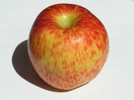 тест с яблоком