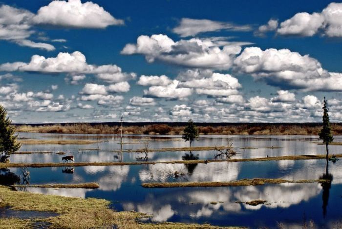 Выставка фоторабот &quot;С верой в Россию&quot; (22 фото)