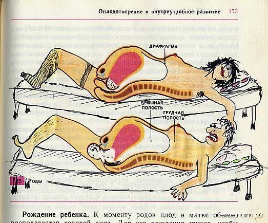 Школьные извращения над учебником биологии (33 фото)