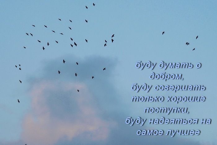 171_so1 (700x467, 97Kb)