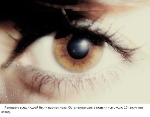 ATT00034 (598x468, 53Kb)