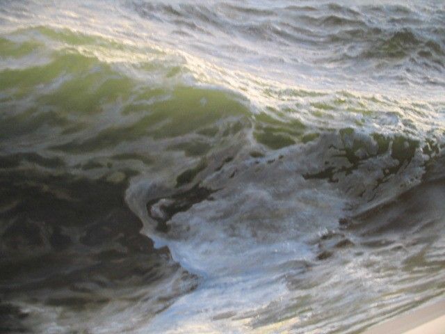Ran Ortner - воспевающий океан