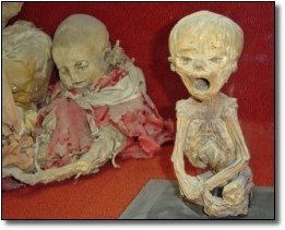 Давно я музеи не посещал Давно я музеи не посещал