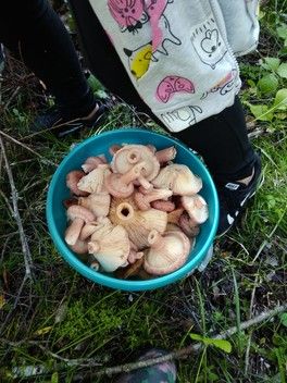Оторвались) Оторвались)