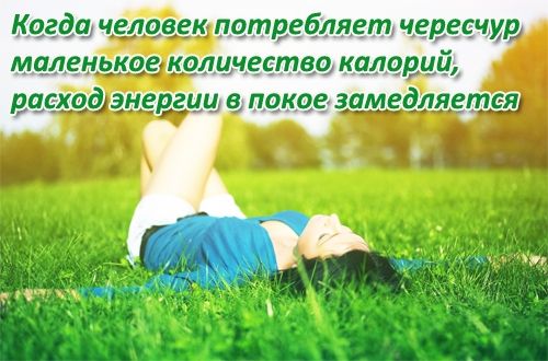 Измерение процента жира в теле