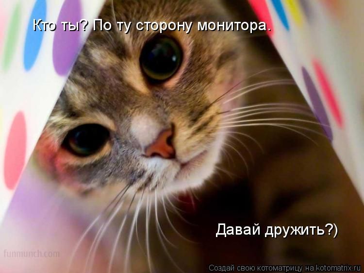 Брошюра &quot;Выбираем Кошку в дом&quot;