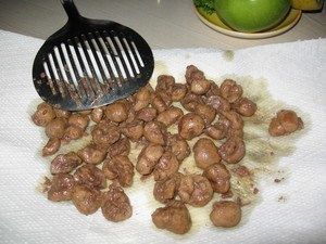 Жарим почки