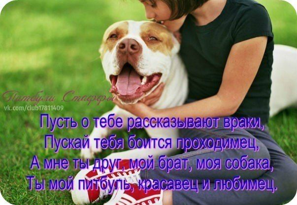 Животные мои=)