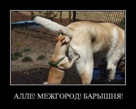 И снова пятничные демотиваторы для Вас!!!