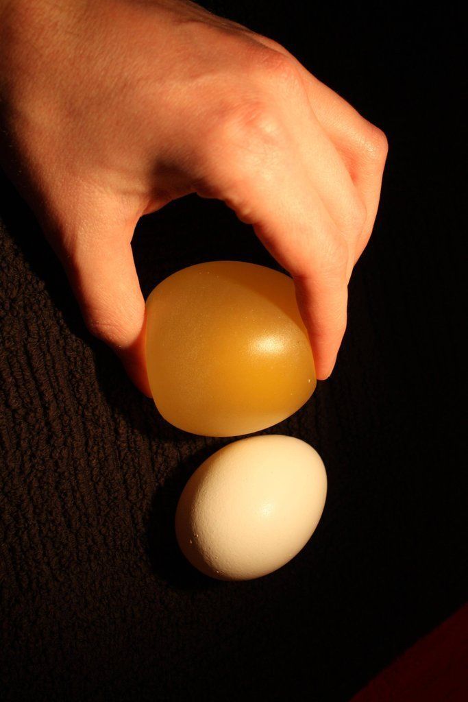 egg05 Эксперимент с яйцом и уксусом
