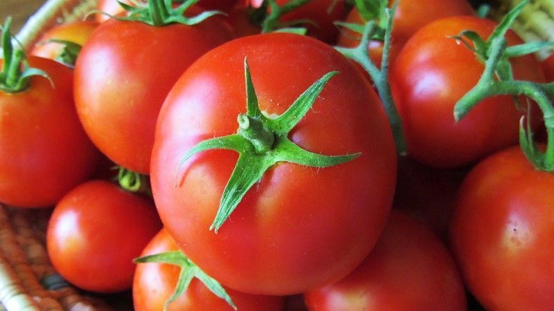 яд, продукт, фрукты, ягоды, овощи