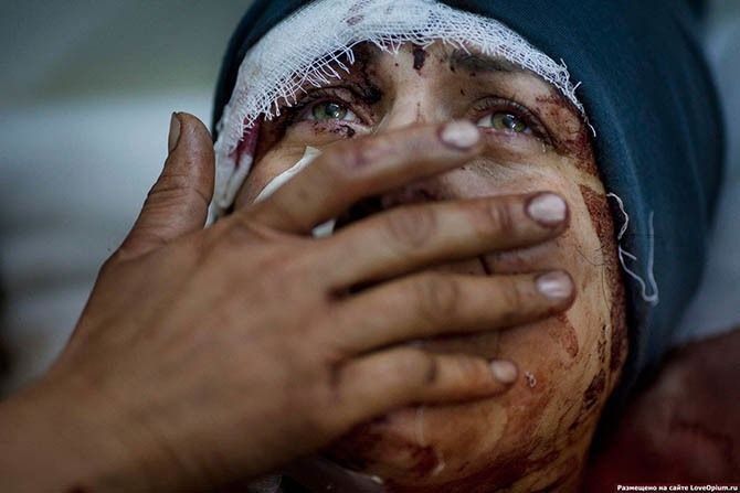 world press photo, конкурс, фотоконкурс, эксперт