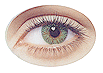 Характер человека с зелёными глазами