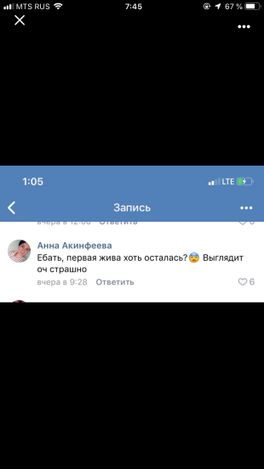 Вот такое доброе утро) Вот такое доброе утро)