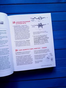Может ли жираф облизать свои уши? или книги для маленьких "почемучек" Может ли жираф облизать свои уши? или книги для маленьких "почемучек"
