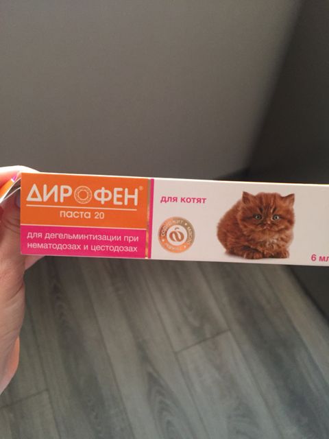 Дирофен котёнку Дирофен котёнку